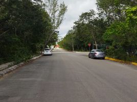  Land for sale in Cozumel, Quintana Roo, Cozumel, Quintana Roo