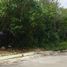  Land for sale in Cozumel, Quintana Roo, Cozumel, Quintana Roo