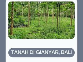  Land for sale in Gianyar Bali, Tegallalang