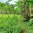  Land for sale in Gianyar Bali, Tegallalang