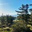  Land for sale in Litueche, Libertador General Bernardo Ohiggins, Litueche