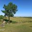 Land for sale in Guabito, Bocas Del Toro, Guabito, Changuinola, Bocas Del Toro