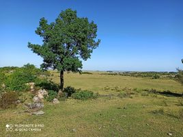  Terreno (Parcela) en venta en Bocas del Toro, Guabito, Changuinola, Bocas del Toro