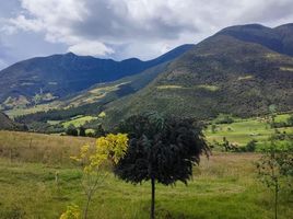 Estudio Villa en venta en Arcabuco, Boyaca, Arcabuco