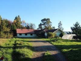10 Habitación Casa en venta en Aeródromo "Los Maitenes", Mariquina, Mariquina