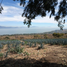  Grundstück zu verkaufen in Jocotepec, Jalisco, Jocotepec