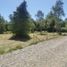  Land for sale in Chile, Mariquina, Valdivia, Los Rios, Chile