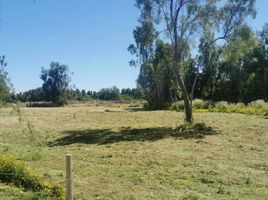  Land for sale in Chile, Mariquina, Valdivia, Los Rios, Chile