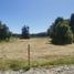  Land for sale in Chile, Mariquina, Valdivia, Los Rios, Chile