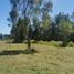  Land for sale in Chile, Mariquina, Valdivia, Los Rios, Chile