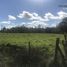  Land for sale in Chile, Puerto Varas, Llanquihue, Los Lagos, Chile