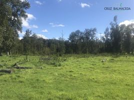  Land for sale in Chile, Puerto Varas, Llanquihue, Los Lagos, Chile