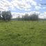  Land for sale in Chile, Puerto Varas, Llanquihue, Los Lagos, Chile