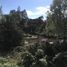  Land for sale in Chile, Puerto Varas, Llanquihue, Los Lagos, Chile