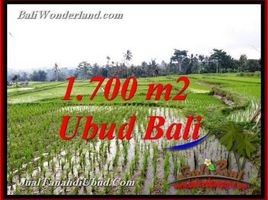  Land for sale in Tegallalang, Gianyar, Tegallalang