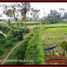  Land for sale in Tegallalang, Gianyar, Tegallalang