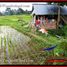  Tanah for sale in Gianyar, Bali, Tegallalang, Gianyar