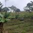 Terrain à vendre à Barbosa, Antioquia, Barbosa, Antioquia, Colombie