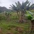 Terrain à vendre à Barbosa, Antioquia, Barbosa, Antioquia, Colombie