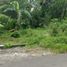  Land for sale in Kalasan, Sleman, Kalasan