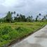  Land for sale in Ginyar, Gianyar, Ginyar