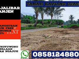  Land for sale in Malang Regency, East Jawa, Ngajum, Malang Regency