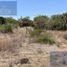  Land for sale in El Marques, Queretaro, El Marques, Queretaro