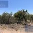  Land for sale in El Marques, Queretaro, El Marques, Queretaro