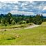  Land for sale in Rionegro, Antioquia, Rionegro