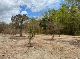  Land for sale in Loja, Vilcabamba Victoria, Loja, Loja