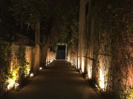 在Morelos出租的2 卧室 住宅, Cuernavaca, Morelos