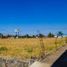  Land for sale in Tepatitlan De Morelos, Jalisco, Tepatitlan De Morelos