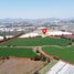  Land for sale in Zamora, Michoacan, Zamora