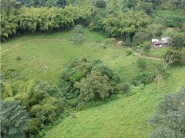  Land for sale in Pereira, Risaralda, Pereira