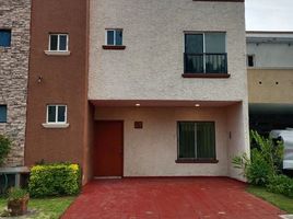 Maison 4 chambre à vendre à Zapopan, Jalisco, Zapopan