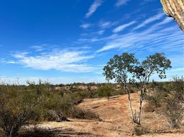  Terreno (Parcela) en venta en La Paz, Baja California Sur, La Paz, Baja California Sur