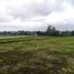  Land for sale in Tegallalang, Gianyar, Tegallalang