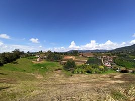  Terreno (Parcela) en venta en El Carmen De Viboral, Antioquia, El Carmen De Viboral