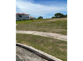  Land for sale in San Carlos Panama Oeste, San Carlos