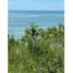  Land for sale in San Carlos Panama Oeste, San Carlos