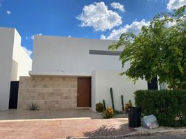 3 Habitación Casa en alquiler en Conkal, Yucatán, Conkal