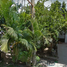 2 Habitación Casa en venta en Puerto Vallarta, Jalisco, Puerto Vallarta, Jalisco