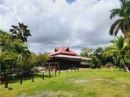  Grundstück zu verkaufen in Anton, Cocle, Rio Hato