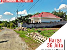  Land for sale in Banyuwangi, East Jawa, Gambiran, Banyuwangi