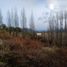  Land for sale in Cushamen Chubut, Cushamen