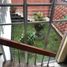 4 Bedroom House for sale in Coatepec, Veracruz, Coatepec