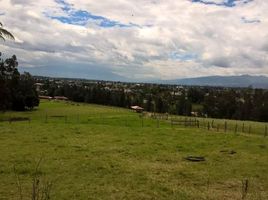  Terrain for sale in Tumbaco, Quito, Tumbaco