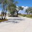 在Aguascalientes出售的 土地, Aguascalientes, Aguascalientes