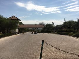  Grundstück zu verkaufen in Guanajuato, Guanajuato, Guanajuato, Guanajuato