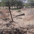  Land for sale in Villa De Alvarez, Colima, Villa De Alvarez, Colima